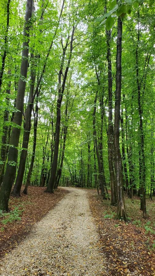 Apartma Ksela Mala Nedelja Bagian luar foto