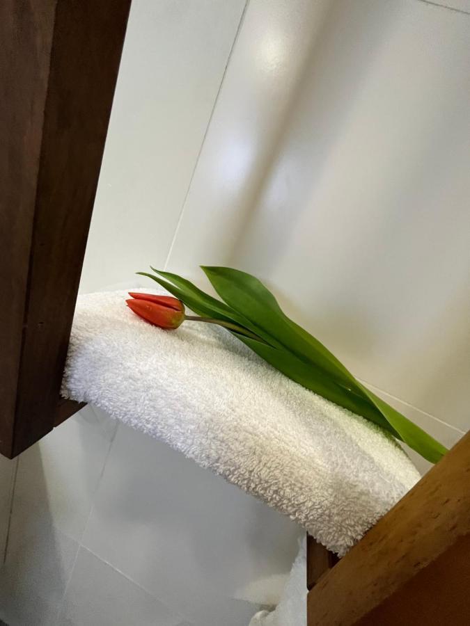 Apartma Ksela Mala Nedelja Bagian luar foto