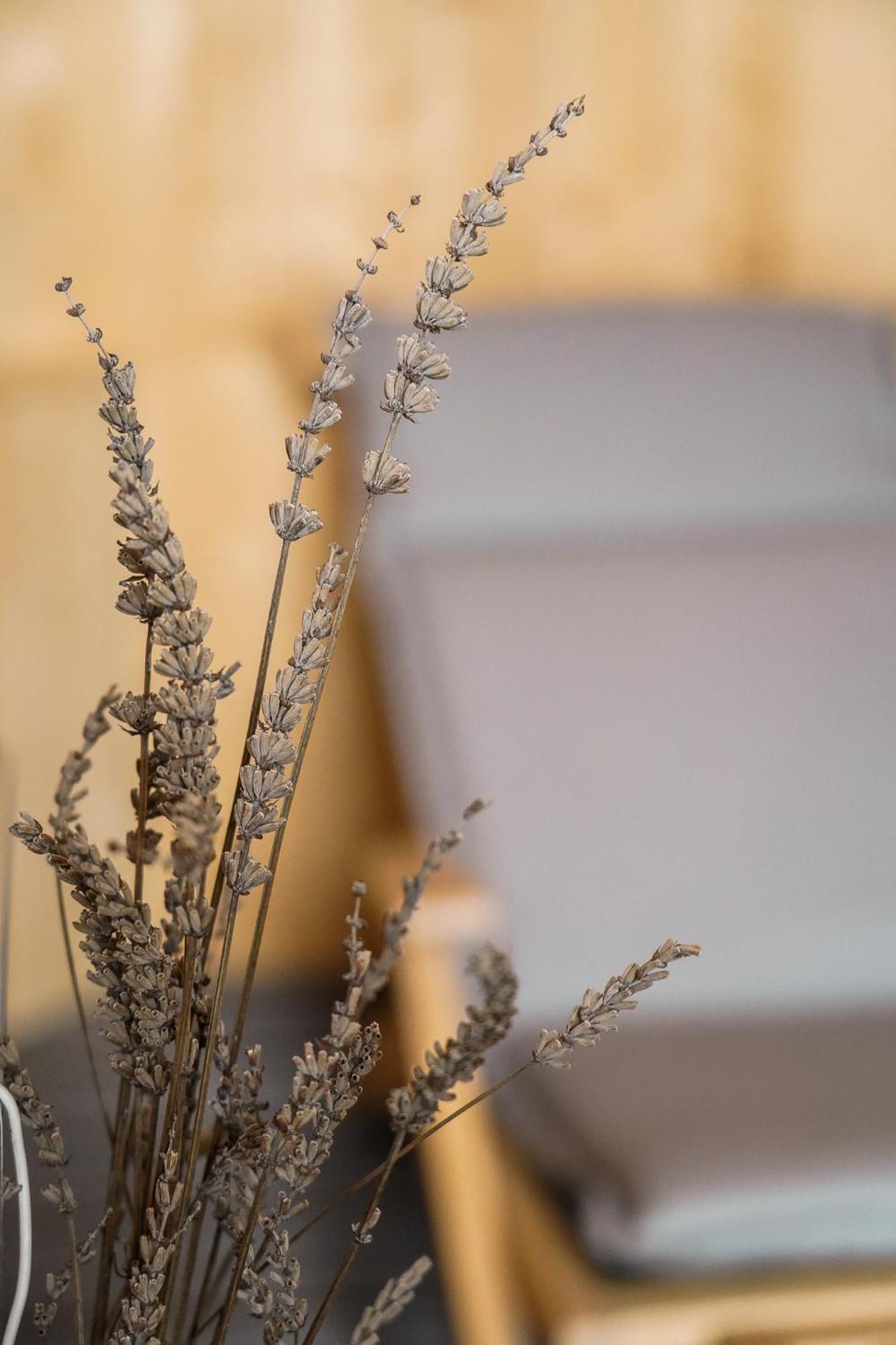 Apartma Ksela Mala Nedelja Bagian luar foto